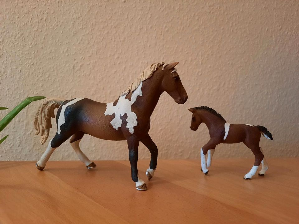 Schleich Trakener Set, Pinto  - Hengst 13756 - Fohlen 13758 in Albersdorf