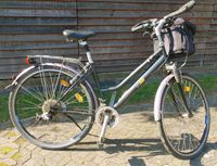 28" Trakking Bike, Touren Rad, gebraucht Fredersdorf-Vogelsdorf - Vogelsdorf Vorschau