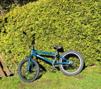 BMX Rad von Felt Bikes, Typ VAULT 20 Zol Kreis Ostholstein - Scharbeutz Vorschau