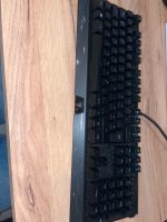 Razer Blackwidow elite von 2019 Rheinland-Pfalz - Mutterschied Vorschau