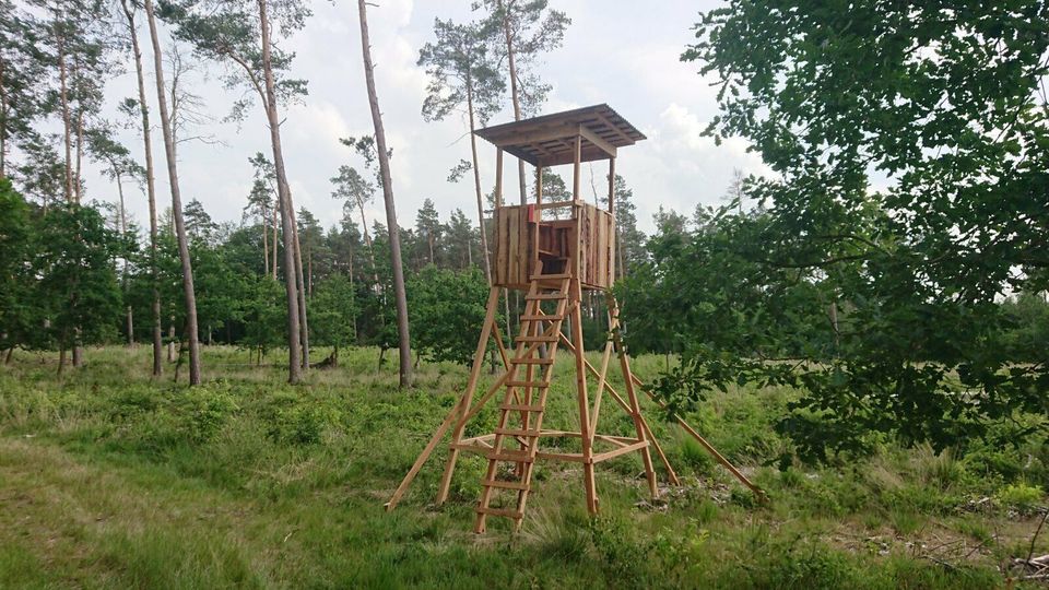 Kombi-Jagdkanzel Hochsitz HUNTER, Premiumqualität aus Lärche/Dgl in Großenaspe