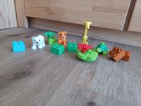 Lego Duplo # 10801 - "Jungtiere" Baden-Württemberg - Nürtingen Vorschau