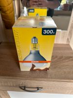 Terrarium Lampe Osram 300w Ultra-Vitalux 230V E27/ES Hessen - Ehringshausen Vorschau