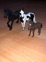 Schleichpferde / Ponys / Fohlen / Spielzeug / Schleich / Pferde Nordrhein-Westfalen - Raesfeld Vorschau