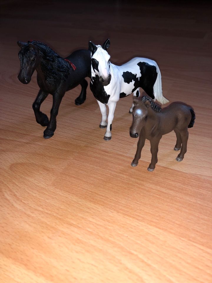 Schleichpferde / Ponys / Fohlen / Spielzeug / Schleich / Pferde in Raesfeld