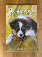 Hundewelpen Kalender von Weltbild Düsseldorf - Flingern Nord Vorschau