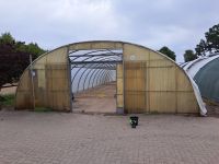 Gewächshaus Folientunnel Folienzelt  gebraucht 8,50m breit Niedersachsen - Rehden Vorschau