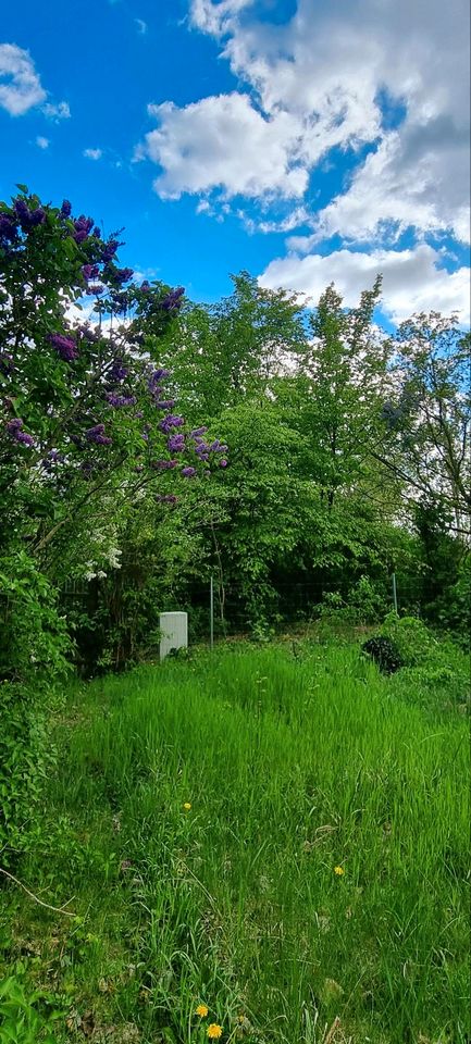 ruhiges Baugrundstück Luckenwalde, von privat nähe Bahnhof in Luckenwalde