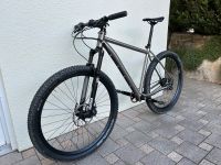 IDWORX Racing Ti Rohler 29 (Titan/Rohloff) RH 51, fast wie neu Baden-Württemberg - Schwaigern Vorschau