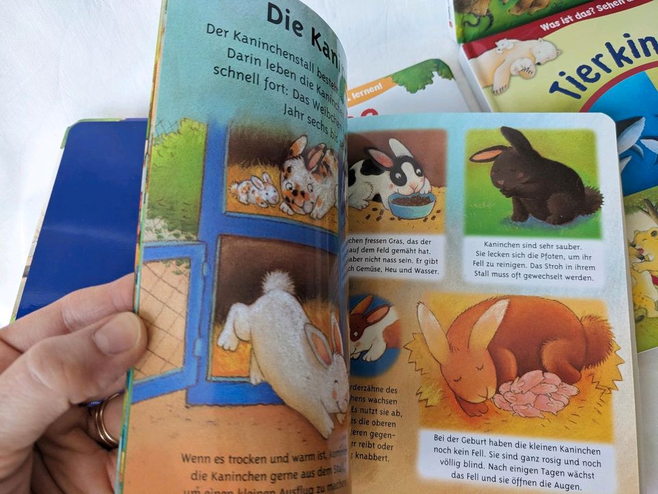 4 Bücher Was ist das? Sehen & lernen Tiere Tierkinder in Augsburg