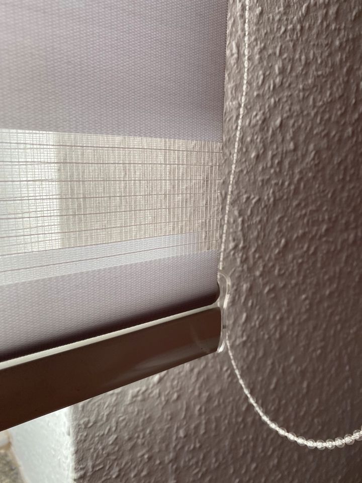 Fenster Rollos Doppelrollo Gardine Jalousie Sichtschutz - weiß in Krefeld