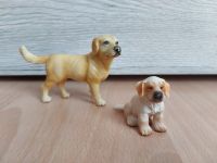 1 Labradorhund und 1 Golden  Retriever Welpe von Schleich Nordrhein-Westfalen - Hamm Vorschau