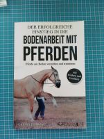 Carina Dieskamp Einstieg in die Bodenarbeit mit Pferden Nordrhein-Westfalen - Velen Vorschau