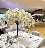 Kirschblütenbäume | Kirschblüten | Hochzeit | Standesamt | Deko Hessen - Stadtallendorf Vorschau