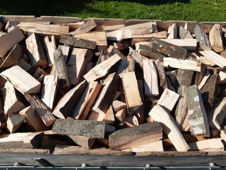 Kaminholz / Brennholz zu verkaufen in Blaubeuren
