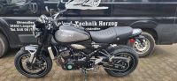 Kawasaki Z900RS Mod. 2024 plus 4 Jahre Garantie Schleswig-Holstein - Eggebek Vorschau