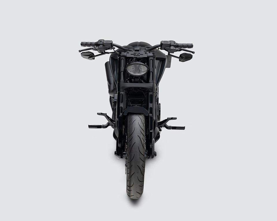 Harley-Davidson Night Rod Special Custombike UNIKAT NLC BBC in Isernhagen