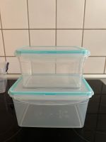 Lebensmittelbehalter Luftdicht - Airtight Lunchbox Mitte - Wedding Vorschau