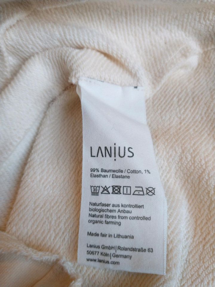 Lanius Pullover 34/36 Sweatshirt Baumwolle fair organic Bio Neu in Oberammergau