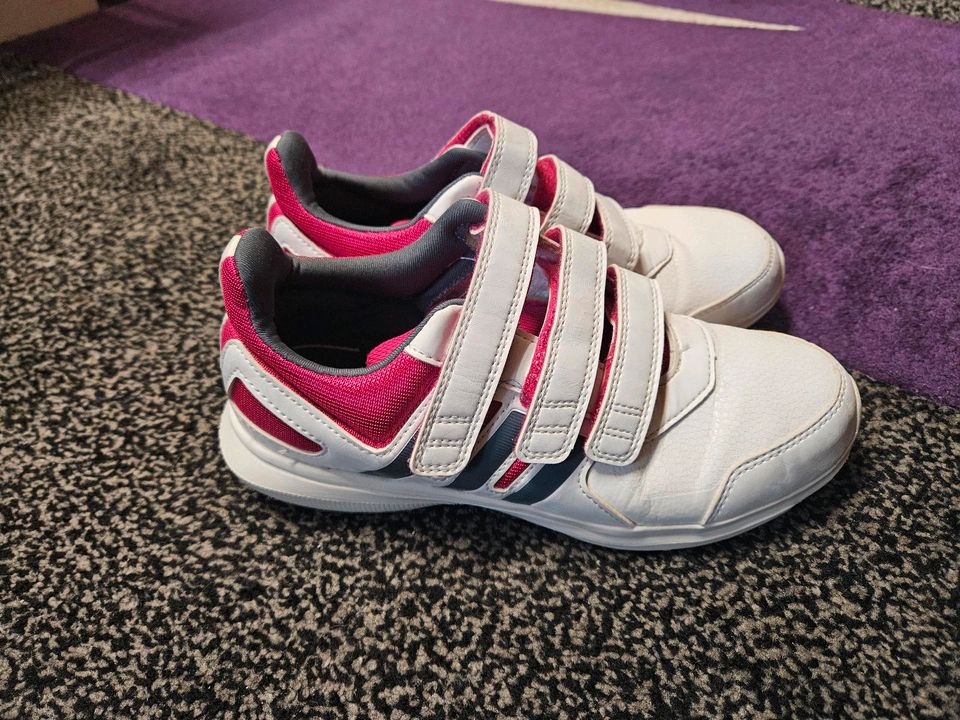 Adidas Schuhe in Zwickau