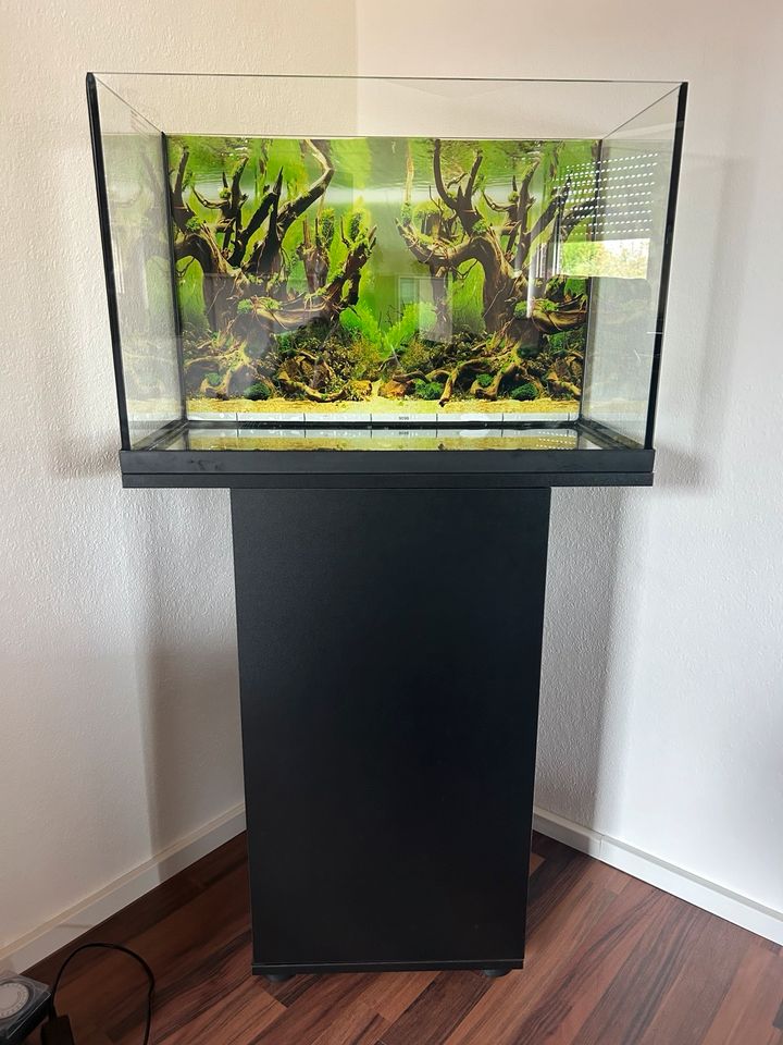 Aquarium Juwel Primo 70 inkl. Unterschrank und Außenfilter in Ibbenbüren
