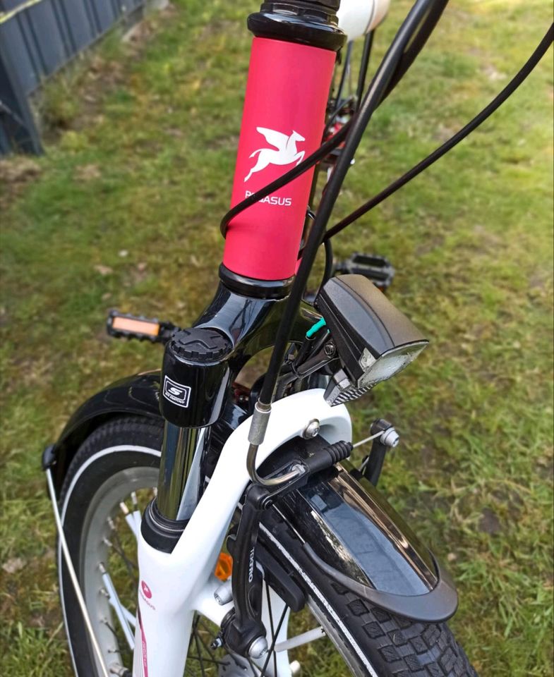2 NEUWERTIGE PEGASUS Avanti 20 Zoll Fahrrad,ideal für Zwillinge in Löningen
