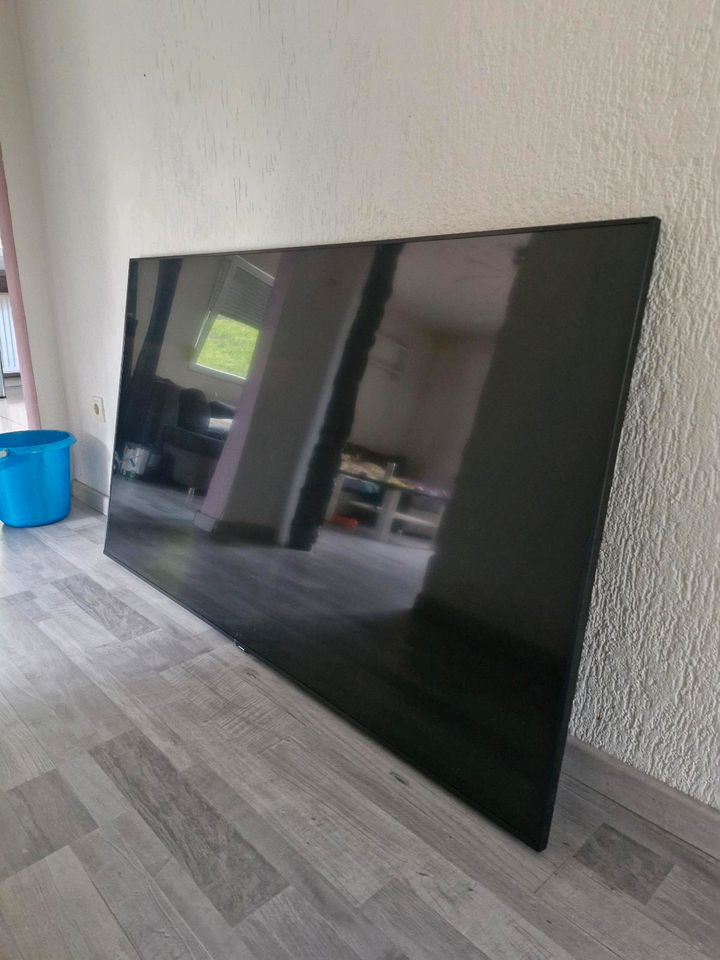 Samsung TV 65 Zoll Defekt Display schaden in Gernsbach