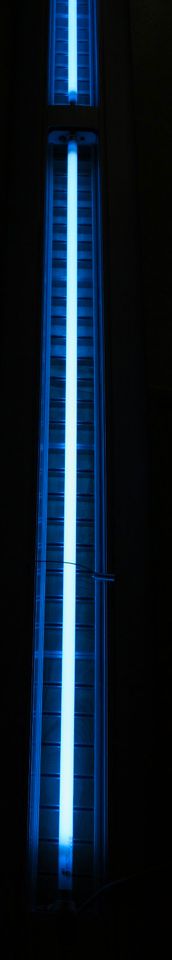 Aquarium Lampen ATI Blue Plus T5 Röhre 54 Watt in Dresden