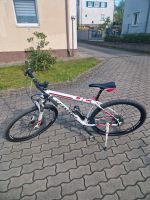 Mauntenbike/ Cannodale Hardtrail. Bayern - Kulmbach Vorschau