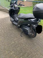 Peugeot Pulsion RS 125cm Roller Nordrhein-Westfalen - Kaarst Vorschau