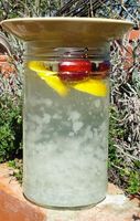 Japankristalle Wasserkefir für 2L/Bio Zutat+Alternative Putzen Osterburg - Walsleben SA Vorschau
