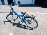 Fahrrad Pegasus 26 Zoll blau Niedersachsen - Oldenburg Vorschau