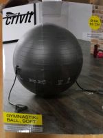 Crivit Gymnastikball 65 cm soft Baden-Württemberg - Wannweil Vorschau