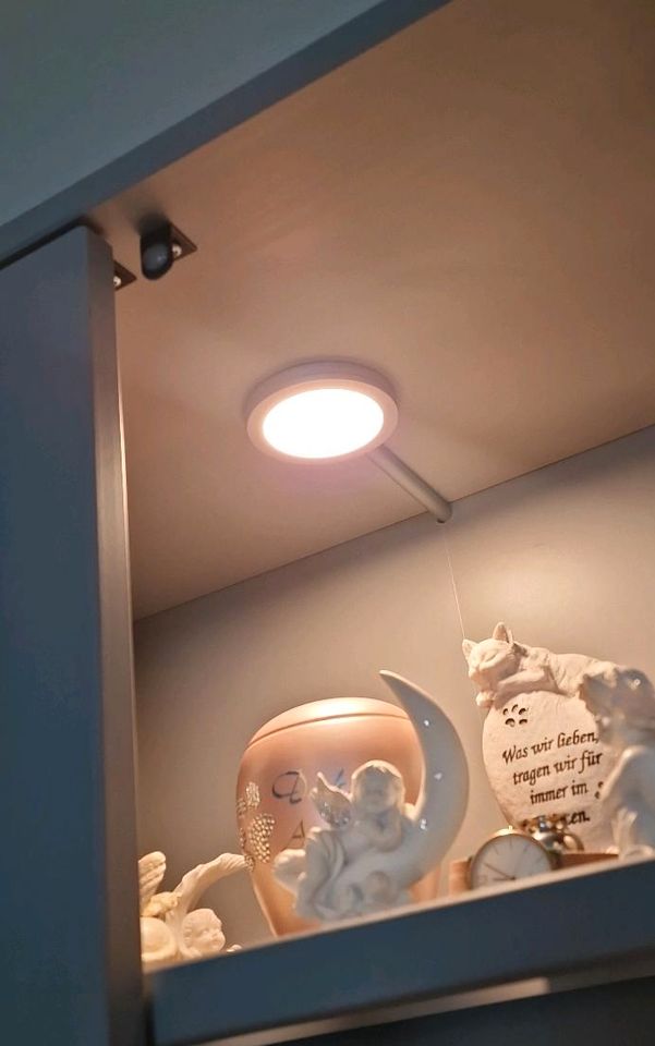 Ikea Havsta Vitrine Grau mit Licht in Gerolstein