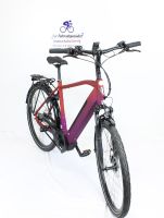 Neu! E Bike Böttcher Spirit Bosch Perf.Line Diamant full Niedersachsen - Salzbergen Vorschau