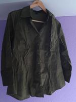 ⭐️kakifarbene Bluse Gr. 38/40 von H&M⭐️ Schleswig-Holstein - Glückstadt Vorschau
