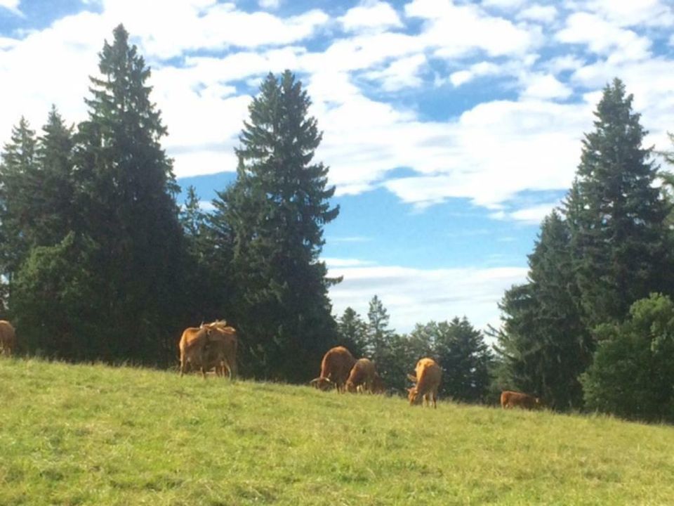 Erhohlungsurlaub in den Bayerischen Bergen/ Bergpension Maroldhof in Warngau