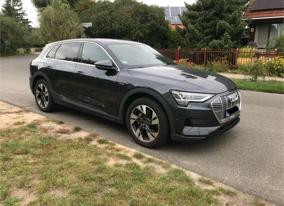 Audi e-tron Q8etron Hundegitter Trenngitter in Petershagen