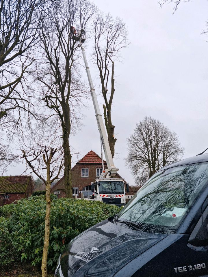 Lkw Arbeitsbühne 30m Steiger mieten leihen Mietpark Westerstede in Westerstede