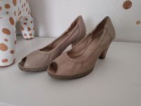 Högl Schuhe Pumps Ballerina Gr 39 ( 5 ) HÖGL Nordrhein-Westfalen - Wetter (Ruhr) Vorschau