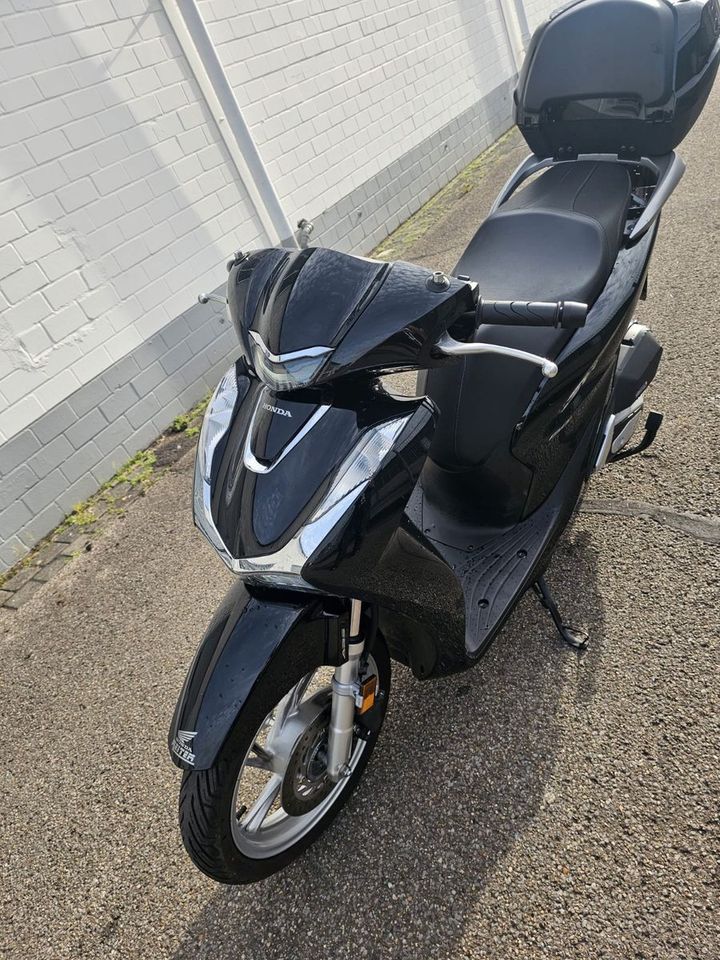 Honda SH 150 in Köln