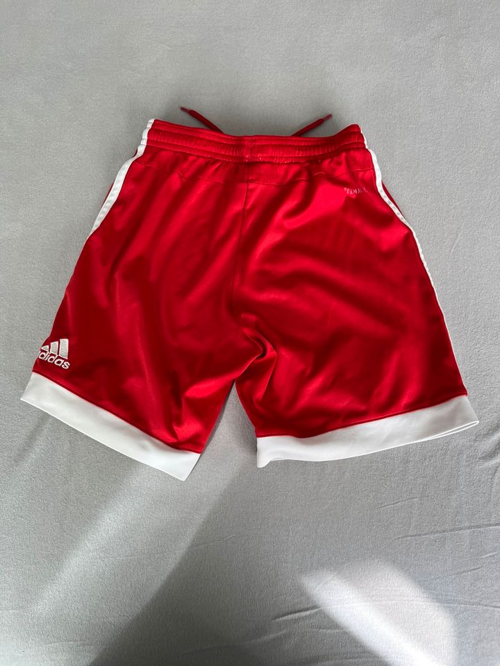 Bayern München Shorts Kinder 140 in Arnsberg