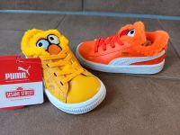 Schuhe Ernie und Bert Gr. 23 Niedersachsen - Neuenkirchen-Vörden Vorschau