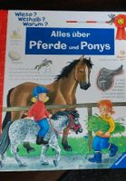 Wieso weshalb warum alles über Pferde und Ponys Köln - Pesch Vorschau