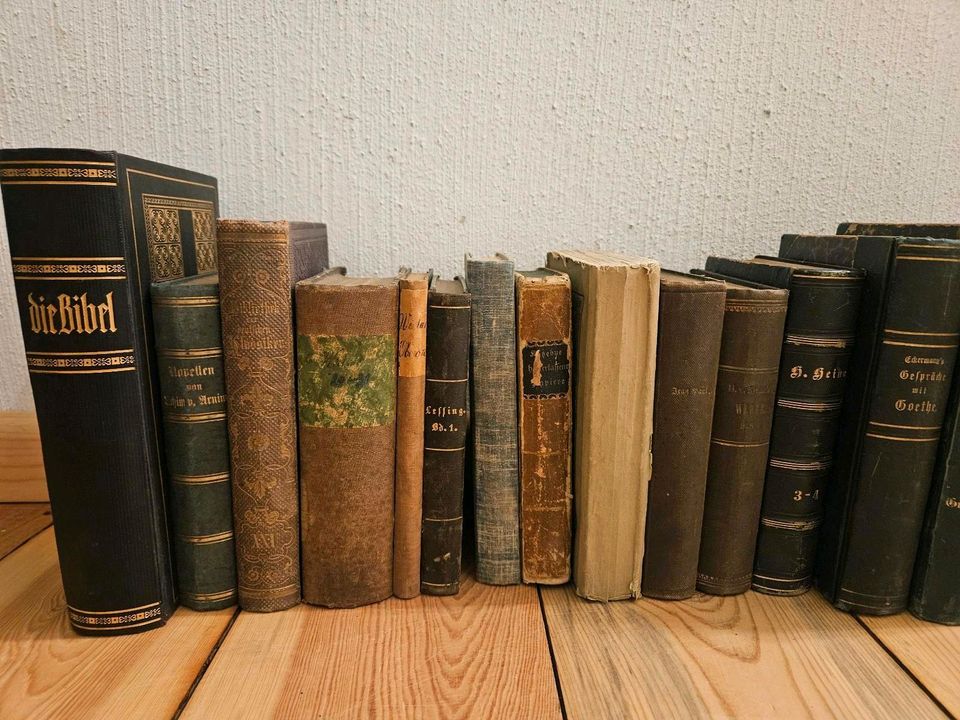 Konvolut alter Bücher inkl. Versand, Heine, Mann, Shakespeare in Wandlitz