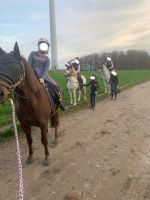 Reitlehrer (m/w/d) und oder Reittherapeut (m/w/d) gesucht Nordrhein-Westfalen - Herten Vorschau