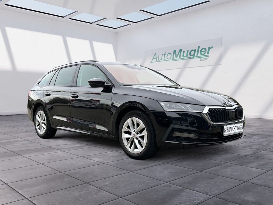 Skoda Octavia Combi 1,5 TSI Ambition-ALU-LED-PDC in Günzburg