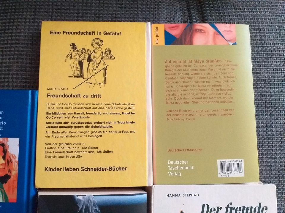Bücher verschiedene in Zaisenhausen