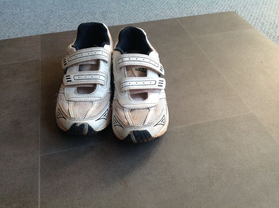 Adidas Schuhe Turnschuhe Größe 34 in Gelsenkirchen