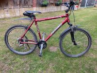 Focus EVO Lightweight Mountainbike Bayern - Hemau Vorschau